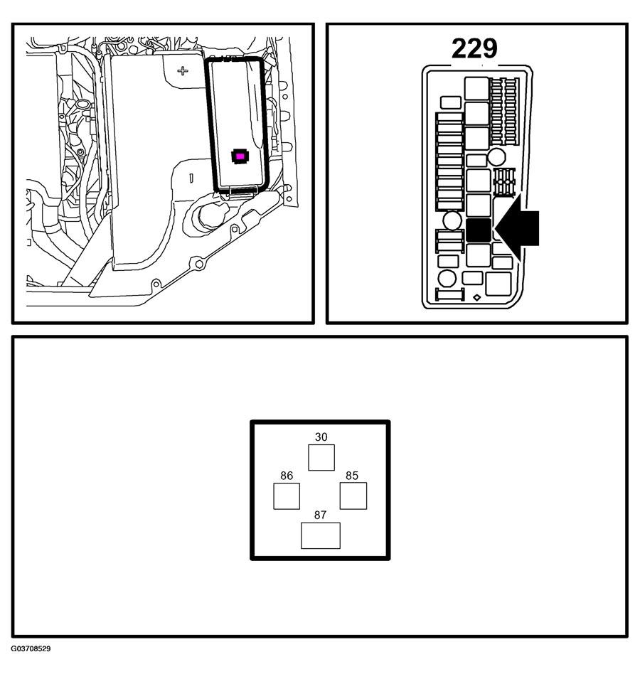 G03708529
