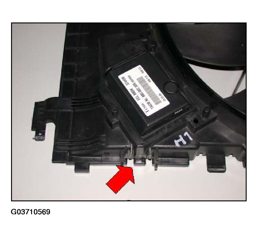 G03710569