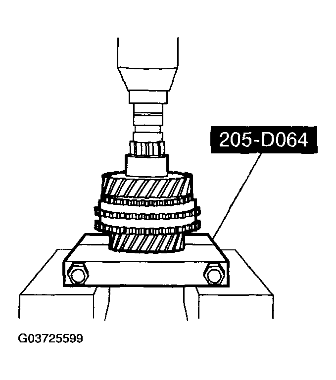 G03725599