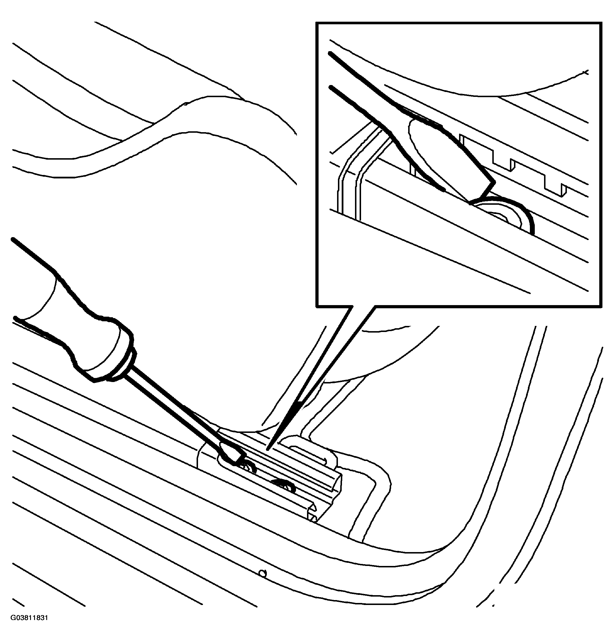 G03811831