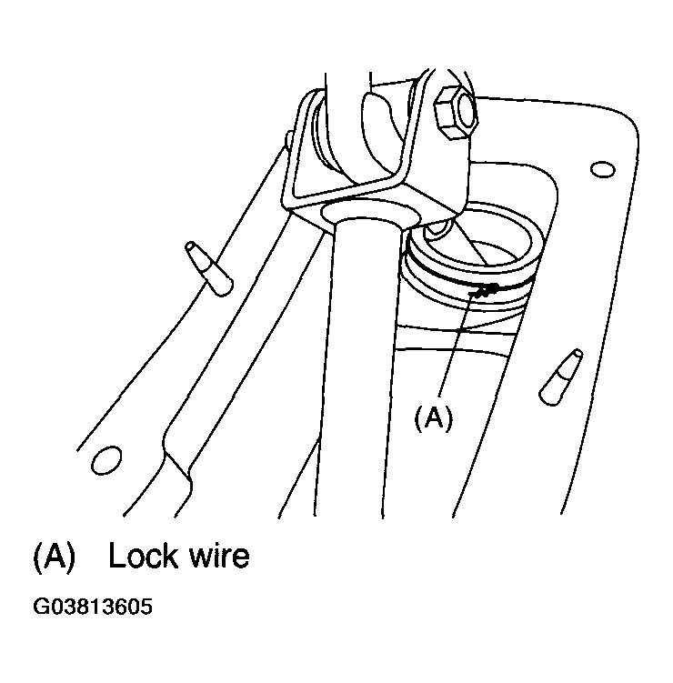 G03813605