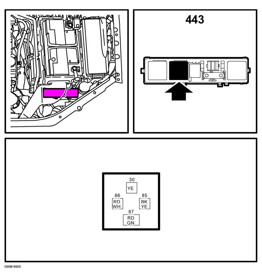 G03819325