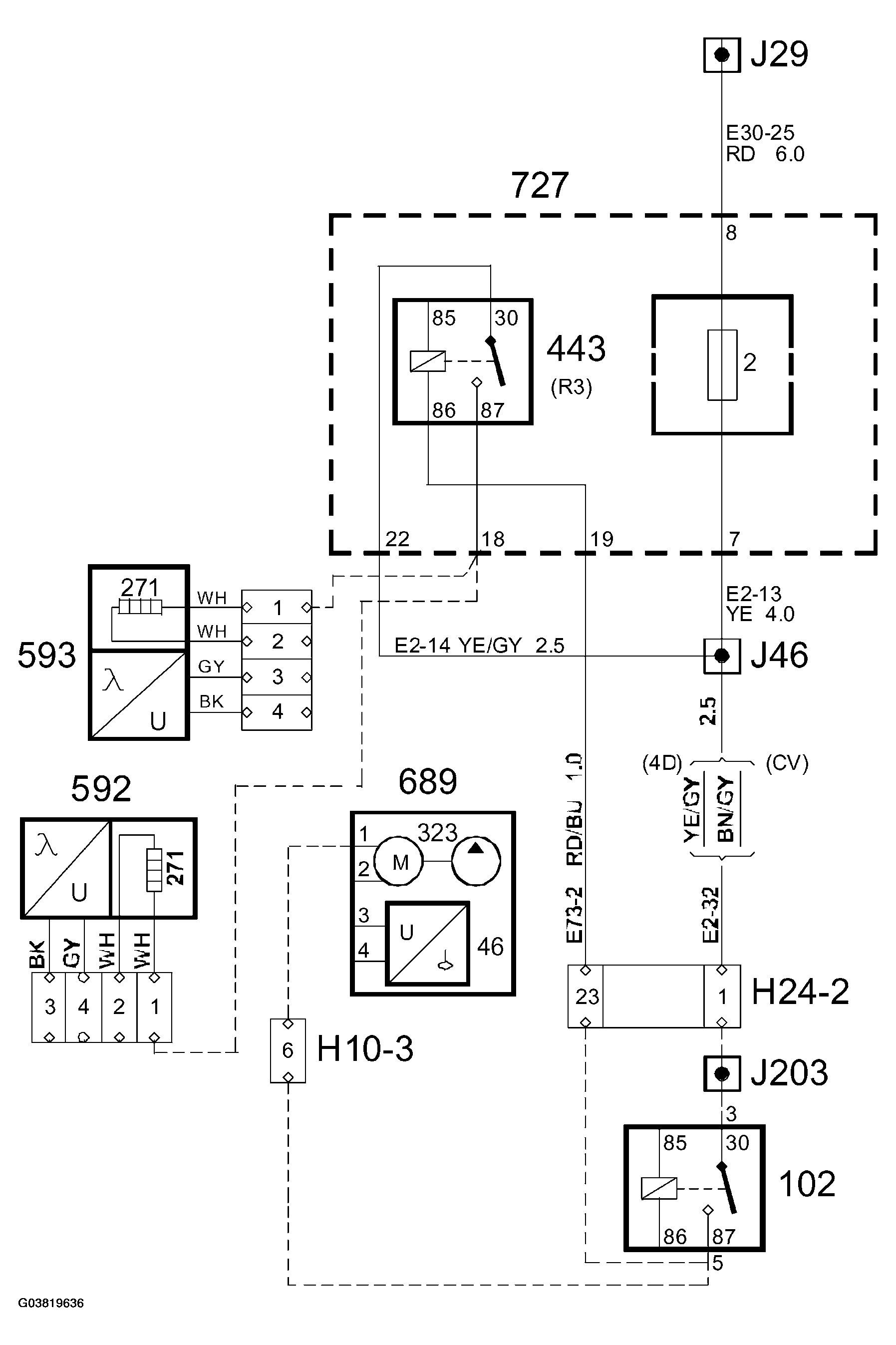 G03819636