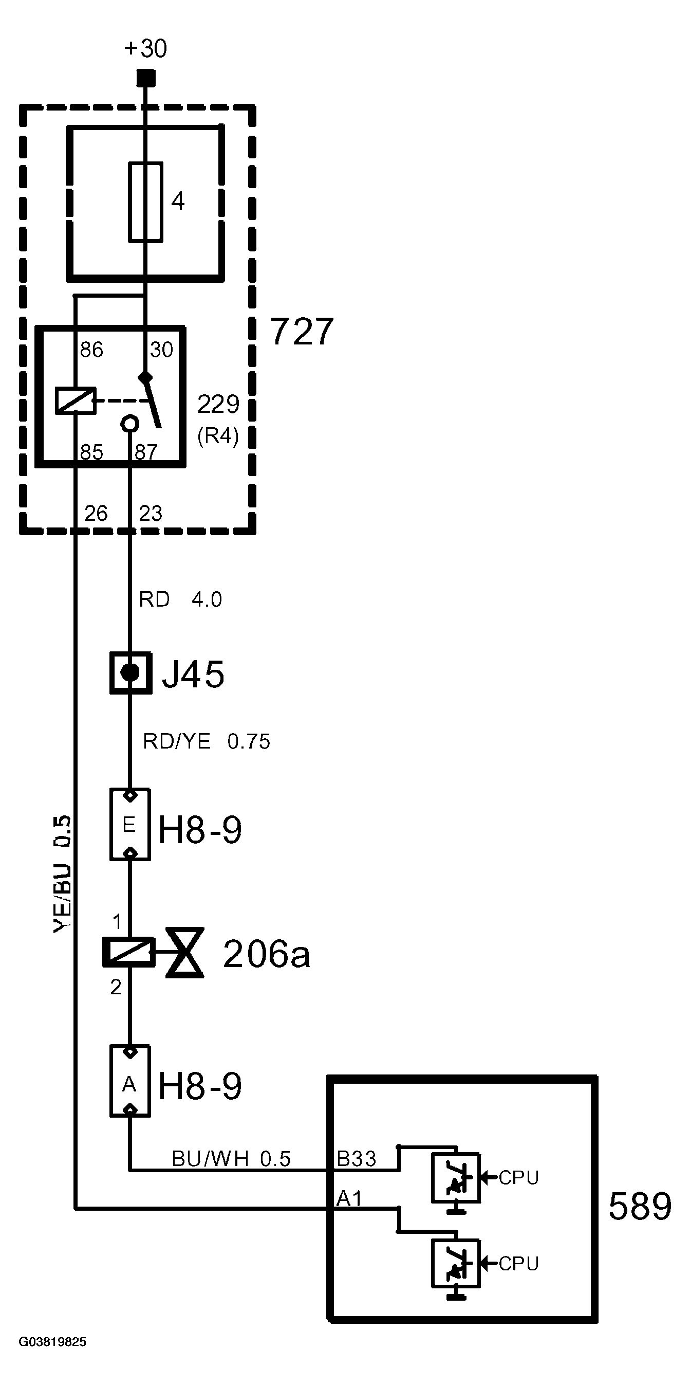 G03819825