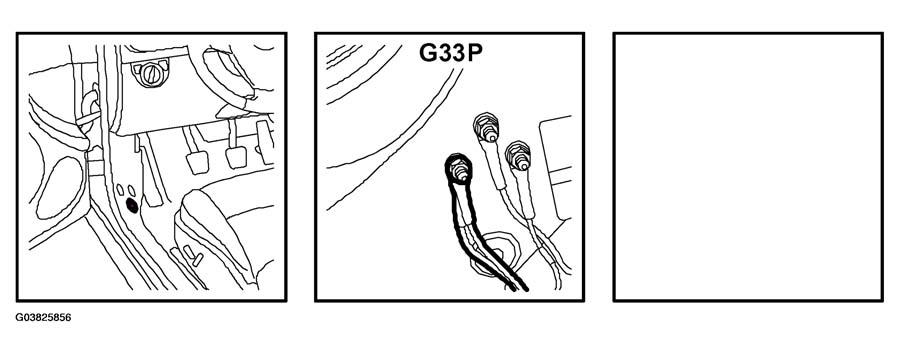G03825856