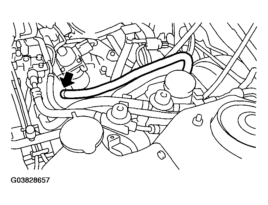 G03828657