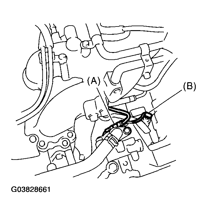 G03828661