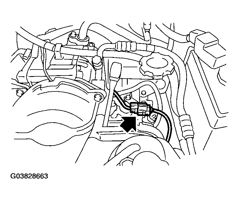 G03828663