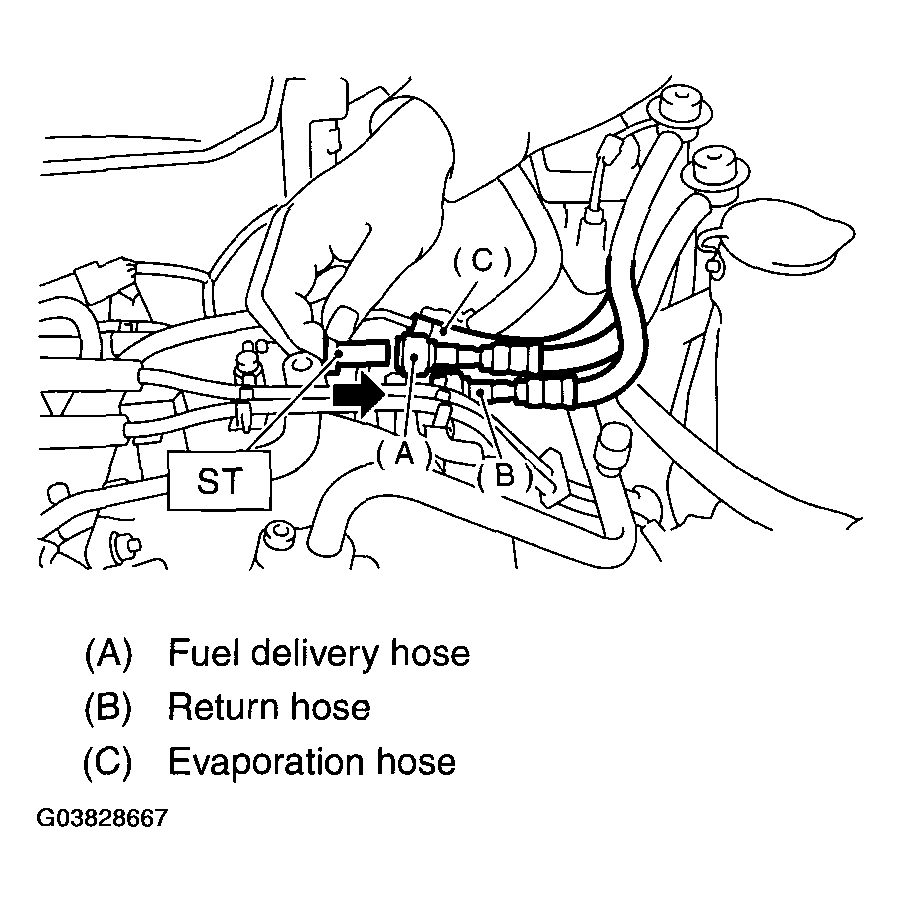 G03828667