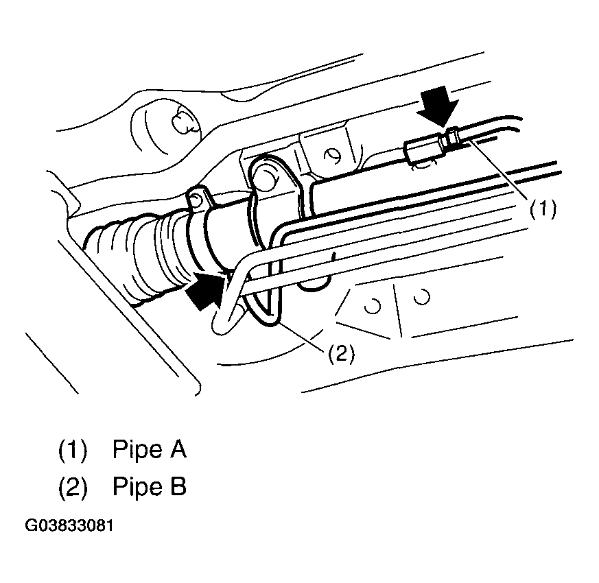 G03833081