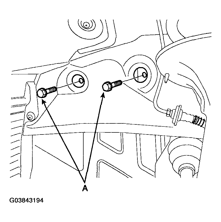 G03843194