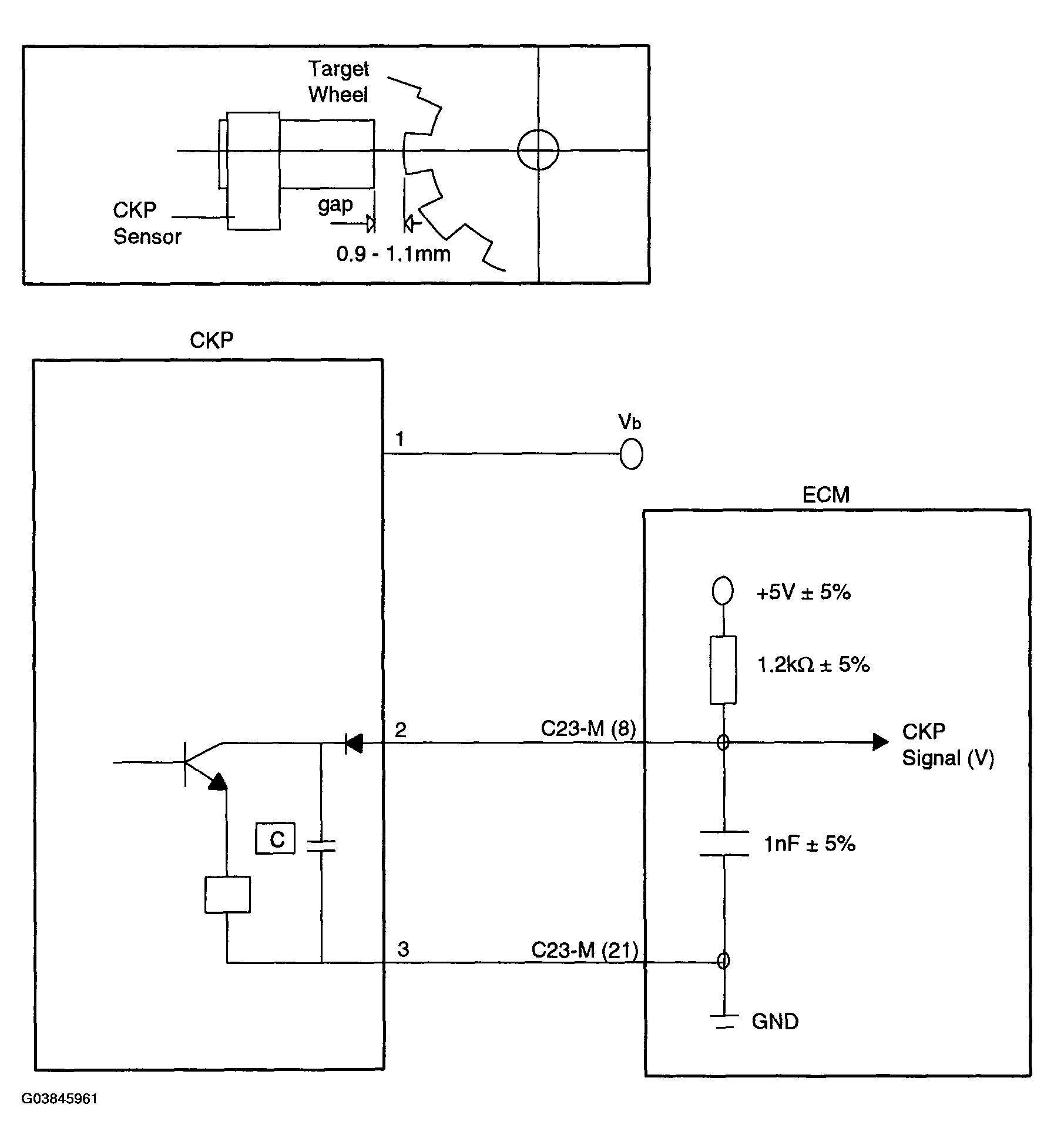 G03845961