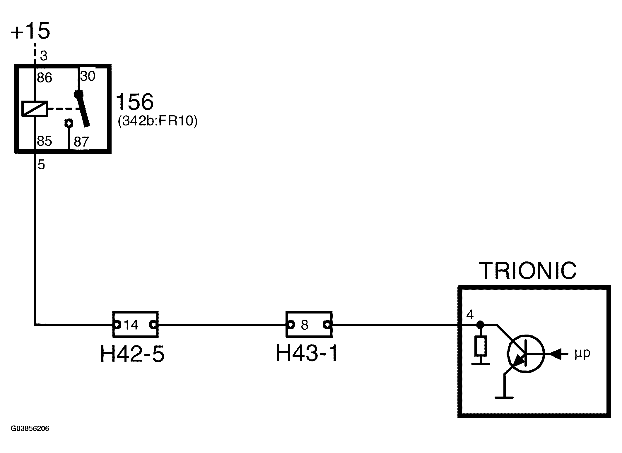 G03856206