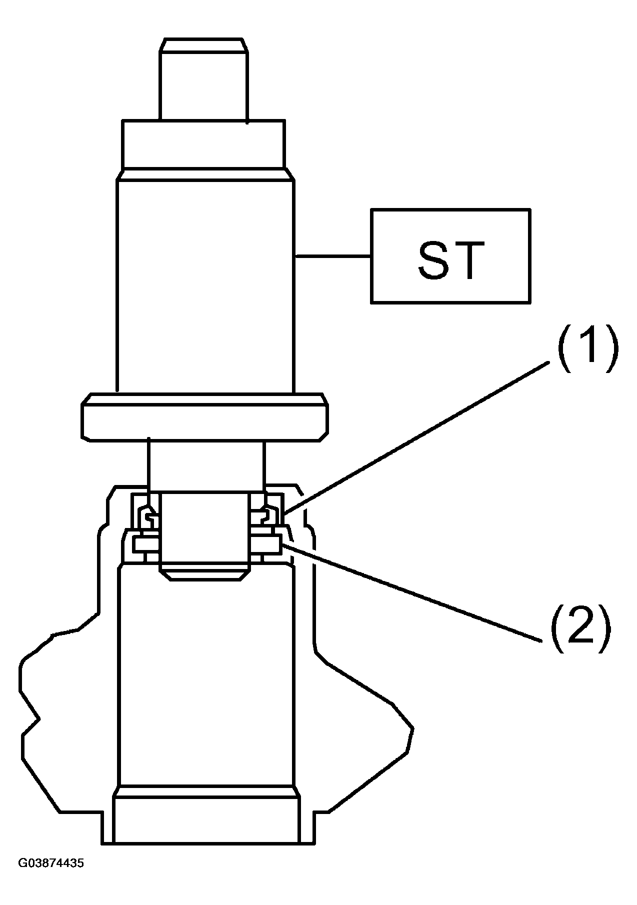 G03874435