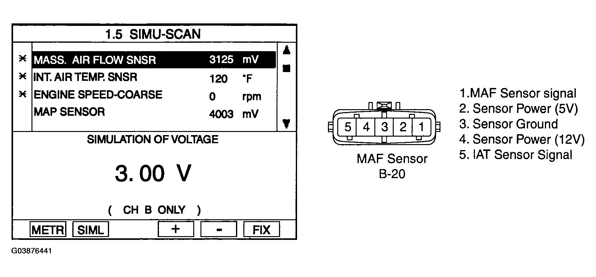 G03876441