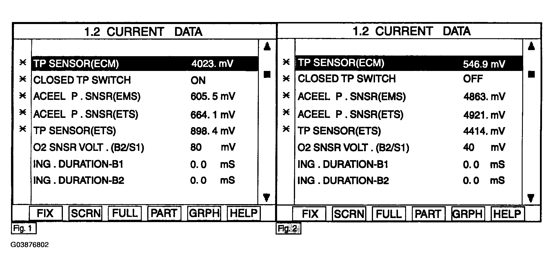 G03876802