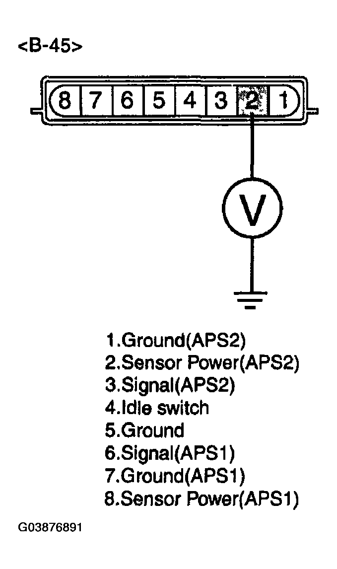 G03876891