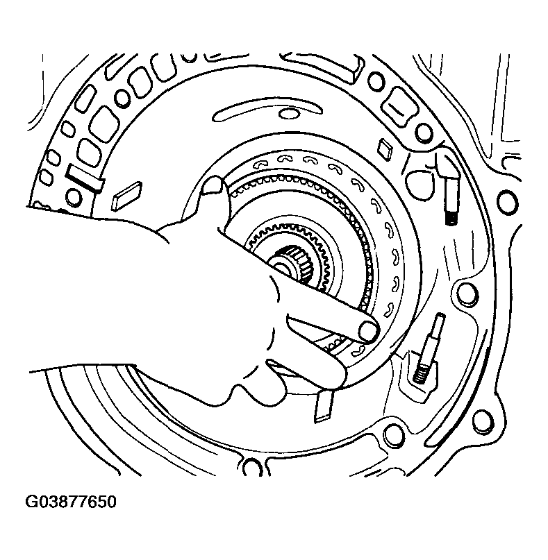 G03877650