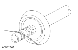 G03879247