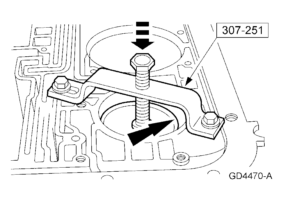 G03882644