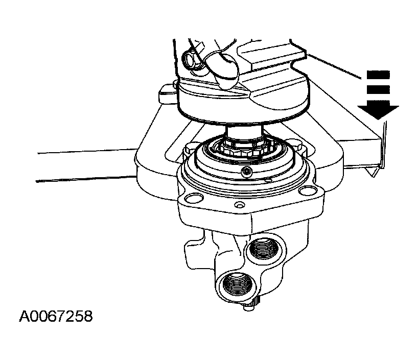 G03905037