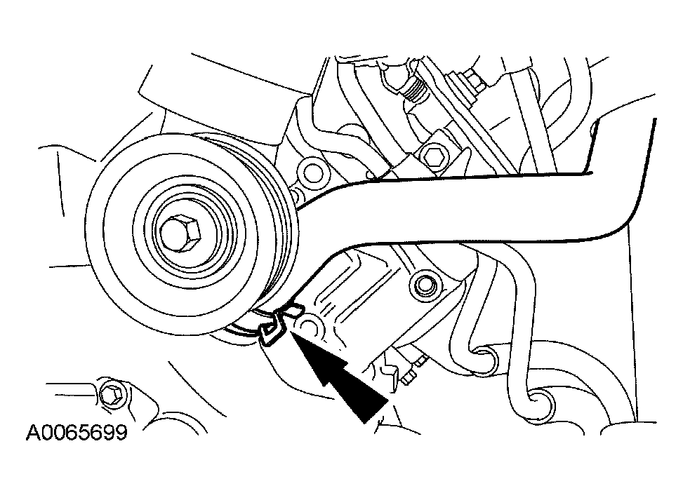 G03906854