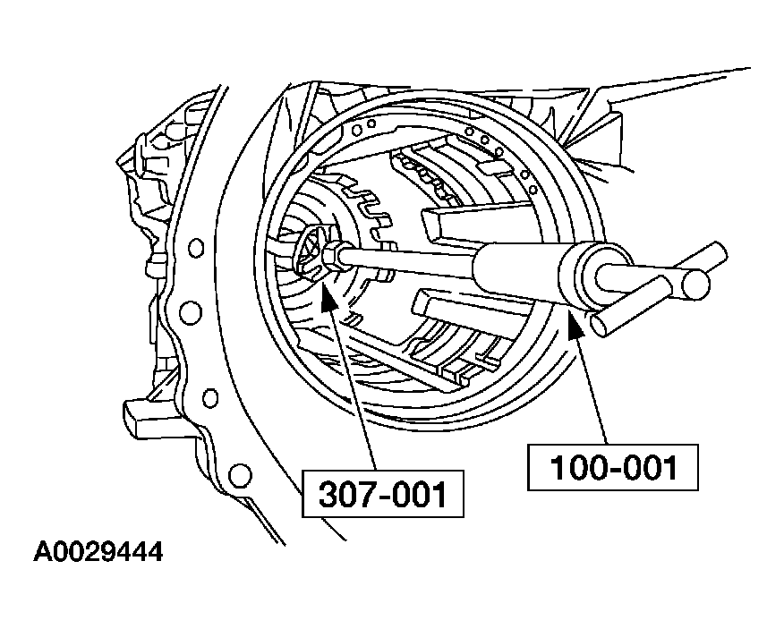 G03908502