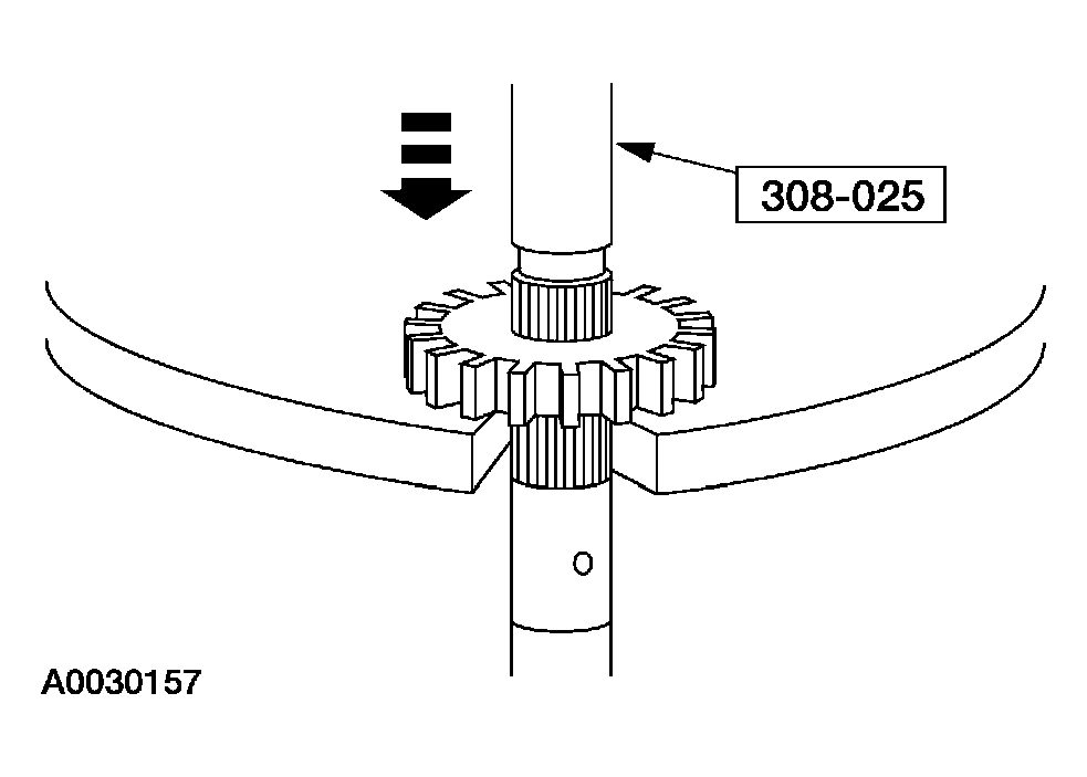G03908648