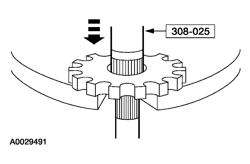 G03908649