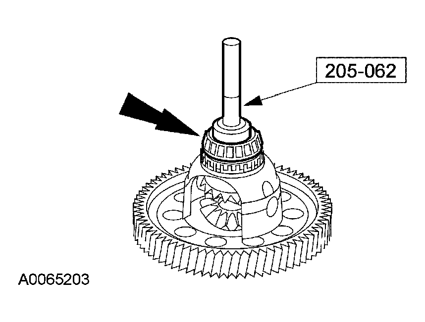 G03951447
