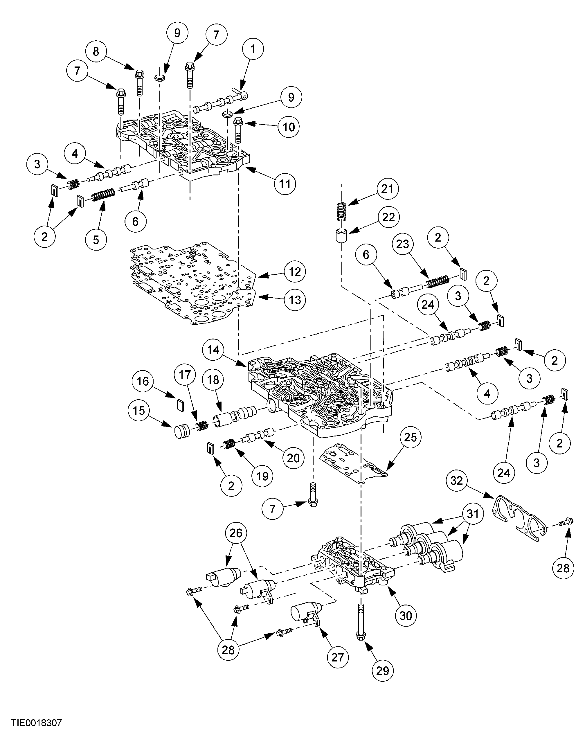 G03951534