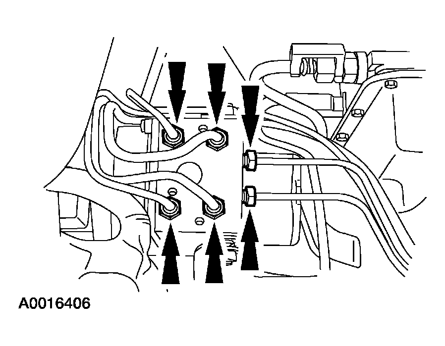 G03954598