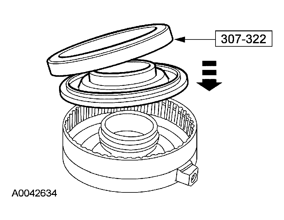 G03957213