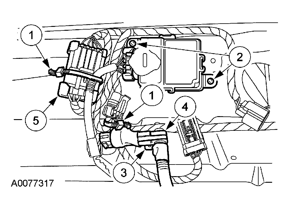 G03959704