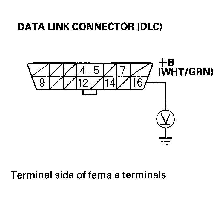 G04546033
