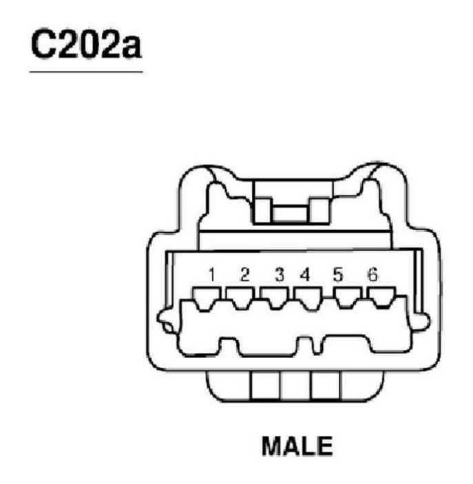 G04597220