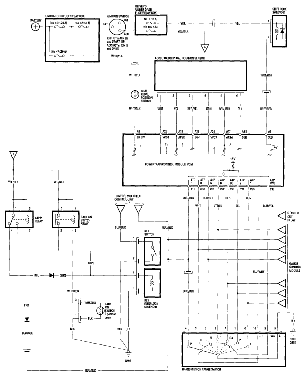 G05594135