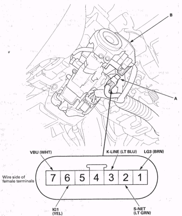 G06420213