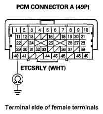 G06425245