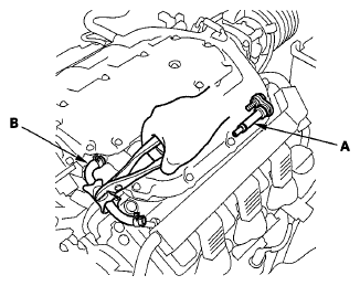G06425456