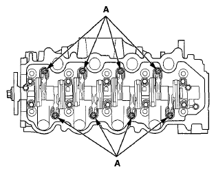 G06428919
