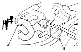 G06429625