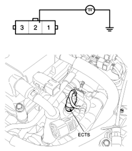 G06525462