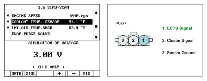 G06881313