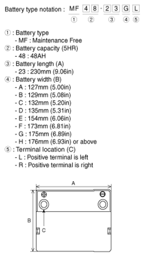 G07381495