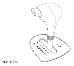 G07496069