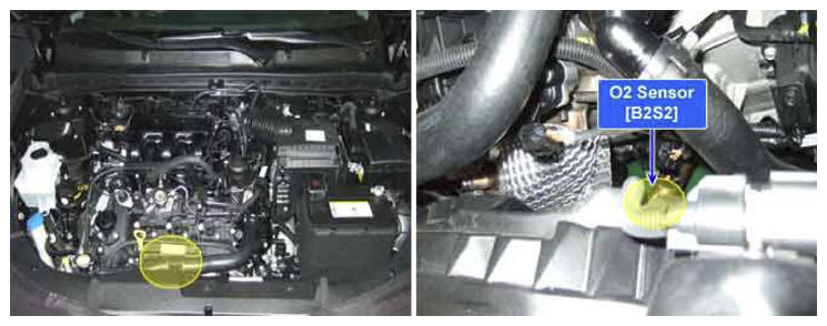 G08816750
