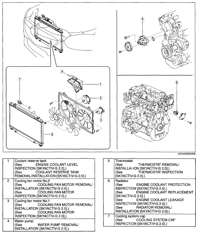 G09074364