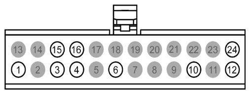 G09084096