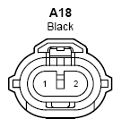 G09106013